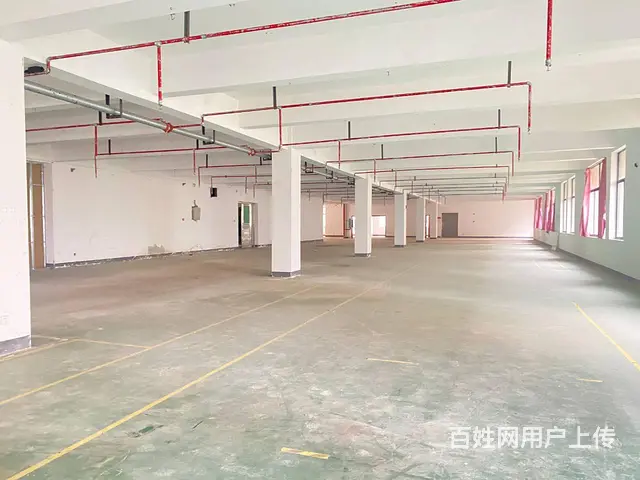 房东直租）岳麓区麓谷金荣同心500一2000平工业园厂房出租 - 图片 2