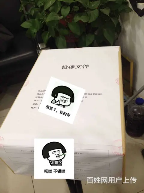 泰安标书制作【为客户做好每一份标书】 - 图片 12