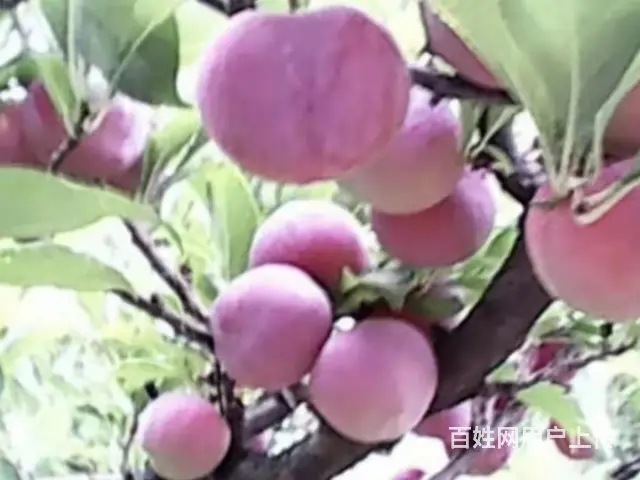 沈阳于洪值得信赖的钓鱼价格多少 - 图片 2