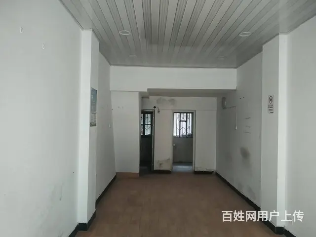 江夏体育馆公园旁临街商铺 - 图片 6