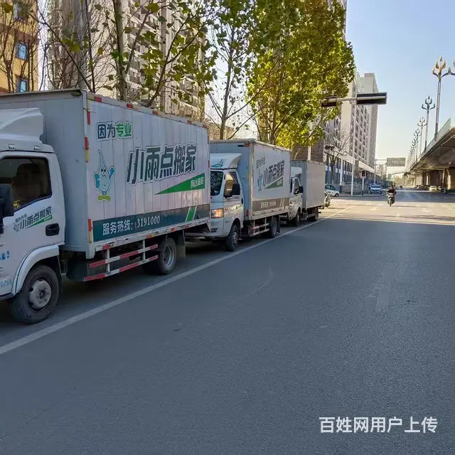 小雨点搬家，规模庞大，全市 - 图片 3