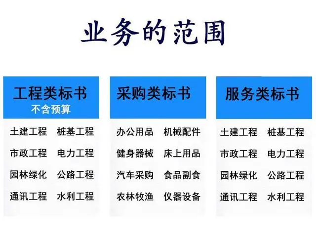合肥标书代写公司2022年投标书制作公司选合肥星弦 - 图片 3