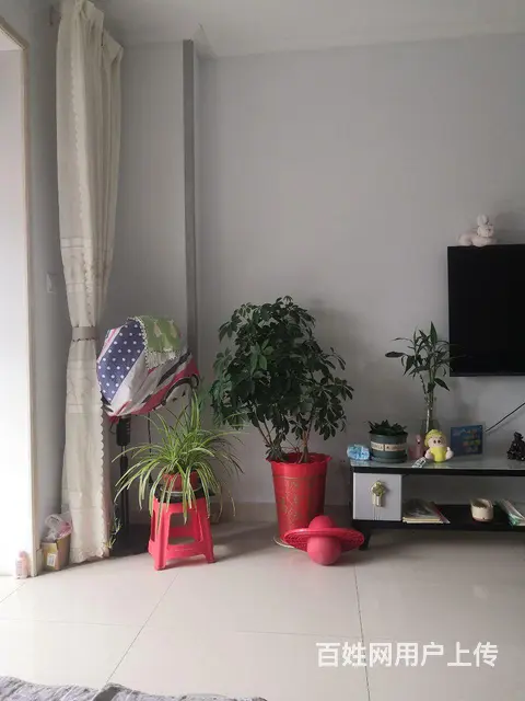 至尊黄金2楼 - 图片