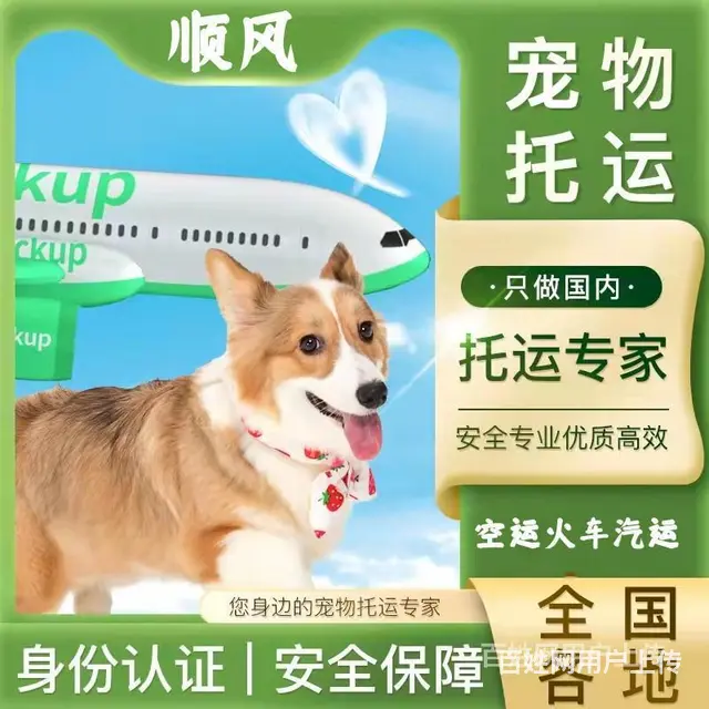 2022推荐）常州市到全国）宠物托运（猫狗）邮寄快递（宠物活 - 图片 7