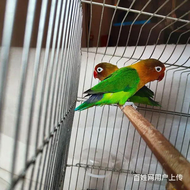 点进下拉看详情 - 图片 4