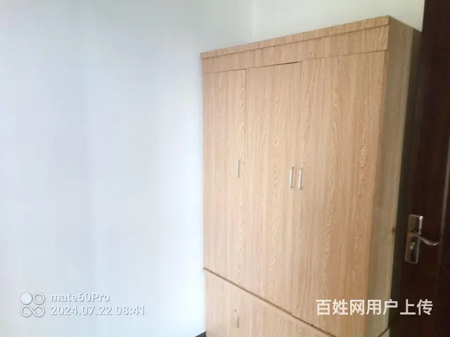 领包入住，押一付三，三天起租 - 图片 3