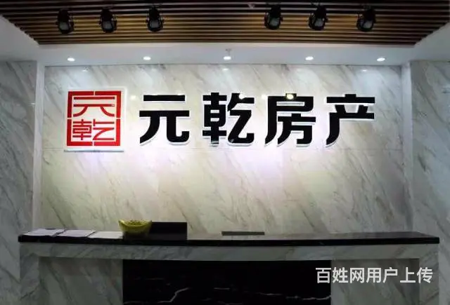 不当司机也能出人头地 - 图片