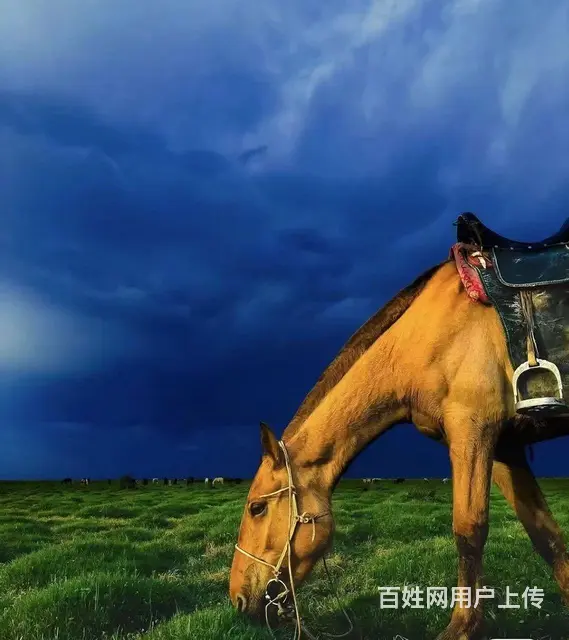 呼伦贝旅游包车师傅排名常师傅信誉第一 - 图片 1