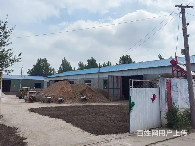 临沭县青云镇钢结构厂房出租 - 图片 1