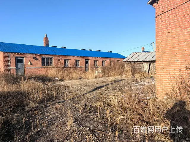 西岗子镇 230 平 15.6 万 1560 平院子 - 图片 5