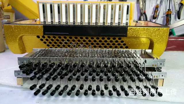 广州专业手风琴维修，鹦鹉百乐金杯手风琴维修 - 图片 2