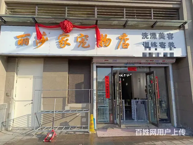 【搞定了！】香坊区进乡街宠物店出兑 - 图片 1