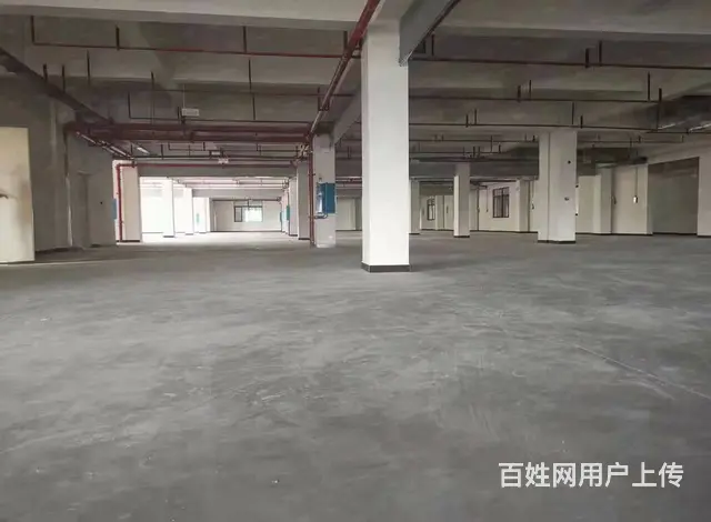 （房东直租）开福区大明工业园厂房/仓库房东优价出租 6402 - 图片 6