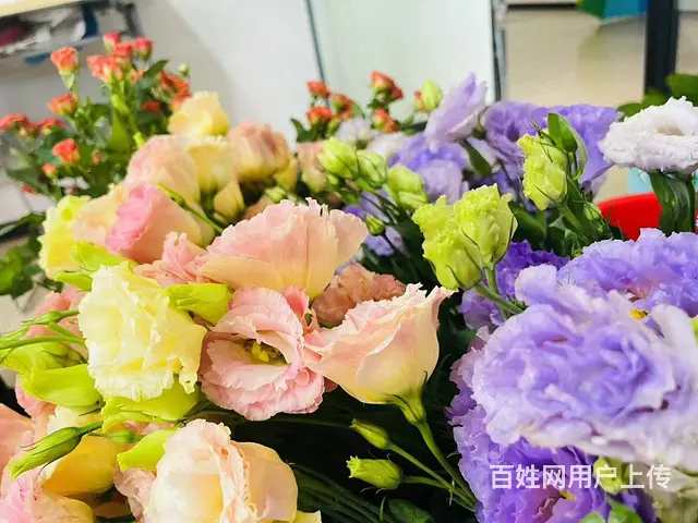 苏州吴中艺术插花哪里可以学习考证 - 图片 2