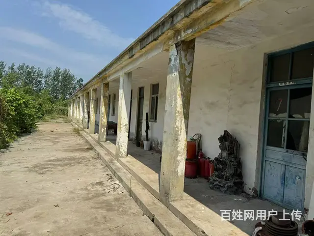 （城市在线找房免费）邳州邢楼厂房（土地）出租 或转让 - 图片 7