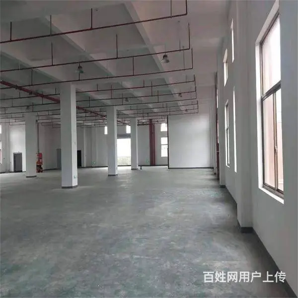 吴江开发区屯村独门独院2500平米 - 图片 1