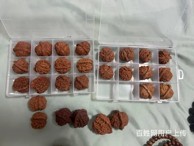 低价转让或互换 - 图片 2