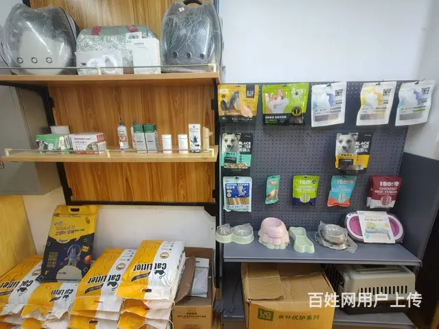 铁西区其仕和颂西北门宠物店出兑，可空兑 - 图片 3