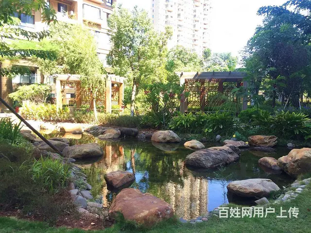 五缘湾湾区旁 紫金家园 半年前全新装修 8千＋ - 图片 12