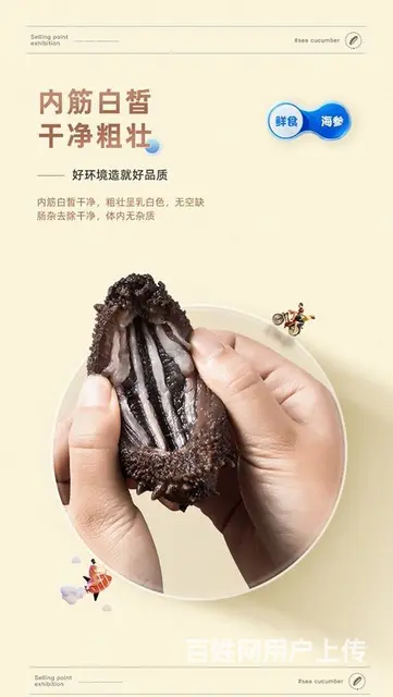 威海海产品海参海蛎子海鲜深海鱼食品广告拍摄设计 - 图片 3