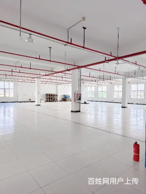 海陵工业园区，仓库厂房出租 - 图片 2
