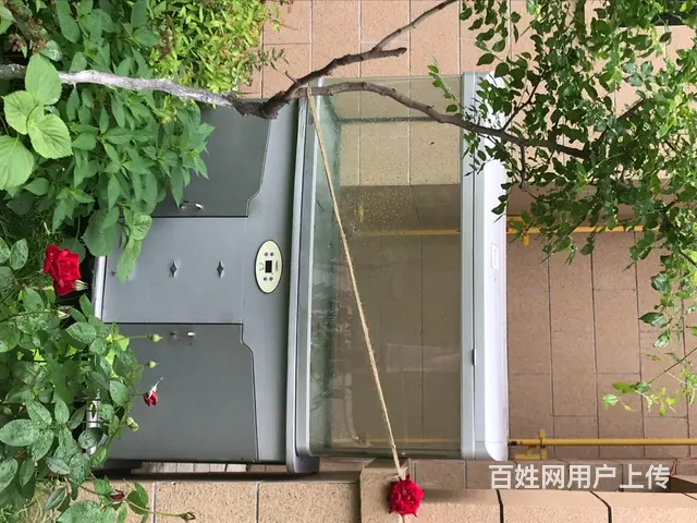 鱼缸 - 图片