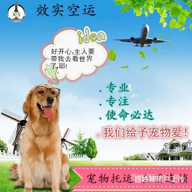 推荐） 秦皇岛到全国）宠物托运（猫狗）邮寄快递（宠物活体运输 - 图片 2