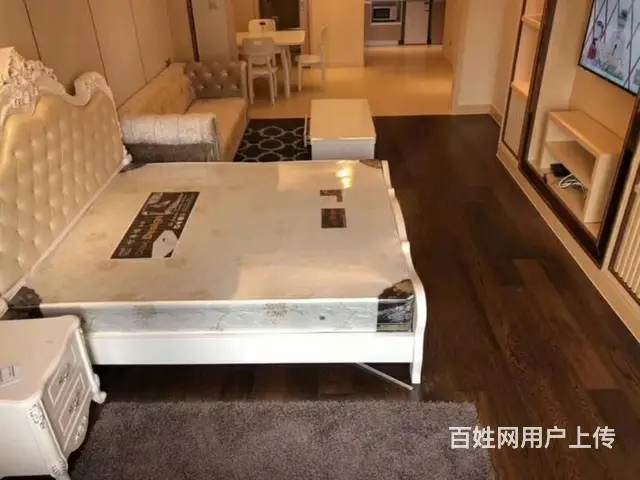 同方国际欧式1房朝南 新塘路闸弄口 绿地华家池 景芳物产国际 - 图片 5