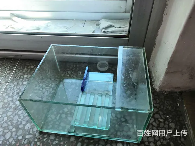 鱼缸出售 - 图片 2