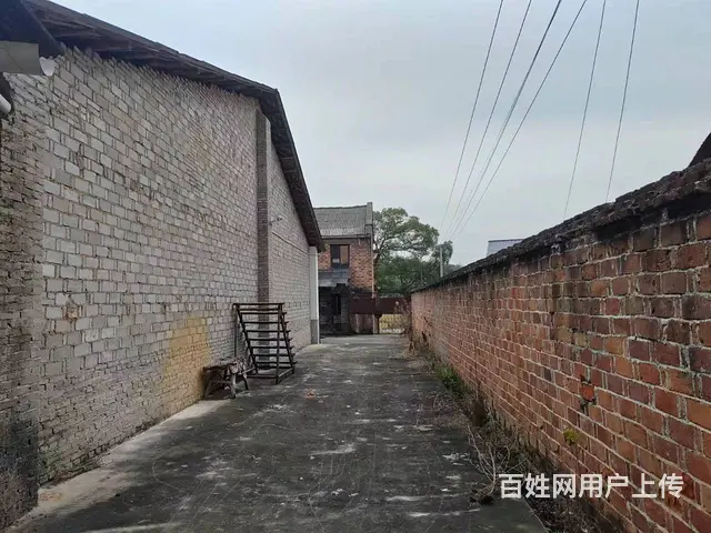 （老板本人）长沙县黄兴大道附近独门独院厂房仓库出租 5755 - 图片 10