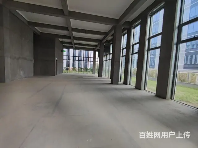 富春中国安谷花园独栋1100方2000方精装送大院子仅剩6栋 - 图片 6