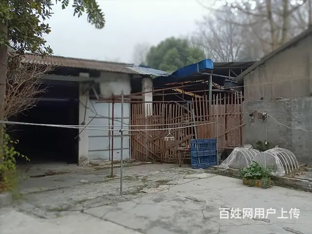 XSY温江进出方便库房出租不限业态 - 图片 6