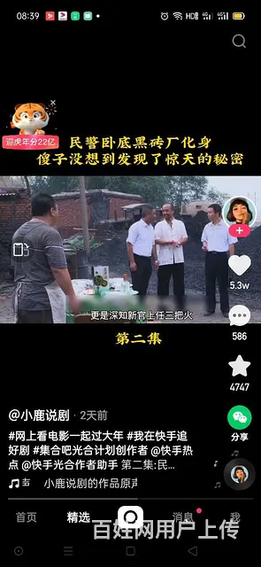 杨树苗 - 图片