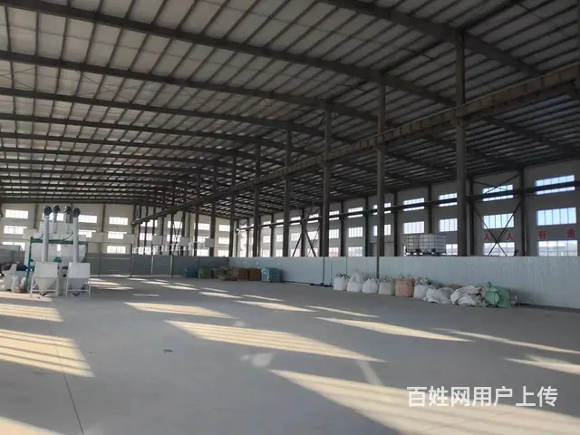 初村新建标准钢结构厂房出租-层高12米 - 图片 3