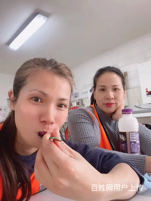 香港正规劳务中介架子工工程车司机合法务工月薪3万 - 图片 5