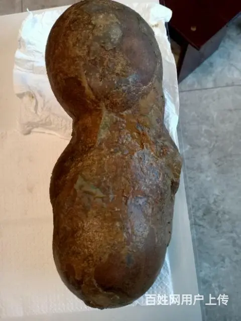 来自一亿年前的圣物，你能穿越时空 与圣物对话！ - 图片 1