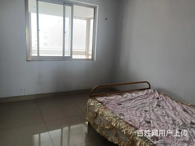  - 图片 3