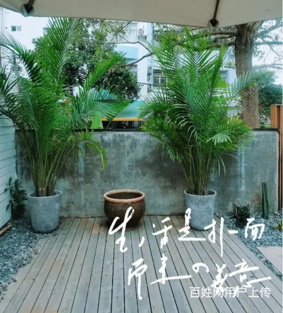 （速转店）海泰别墅民宿转让东西齐全拎包入住干净整洁交通便利 - 图片 7