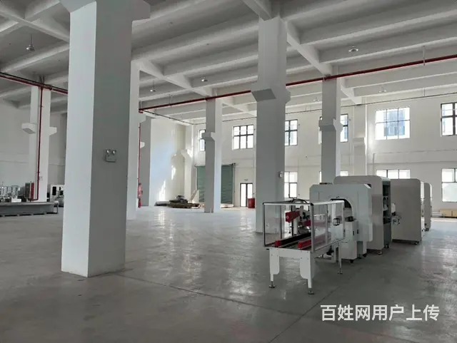 陆家原房东，一楼400平二楼400平，丙类消防，3吨货梯 - 图片 6