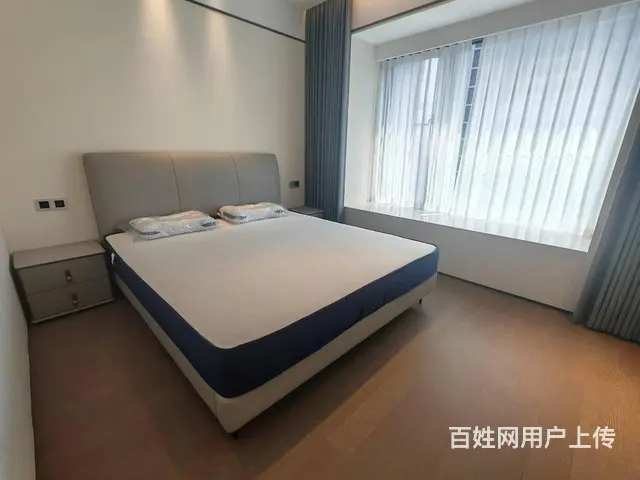 武昌万象城，武昌滨江，绿地606，徐家棚地铁口，宸 - 图片 8