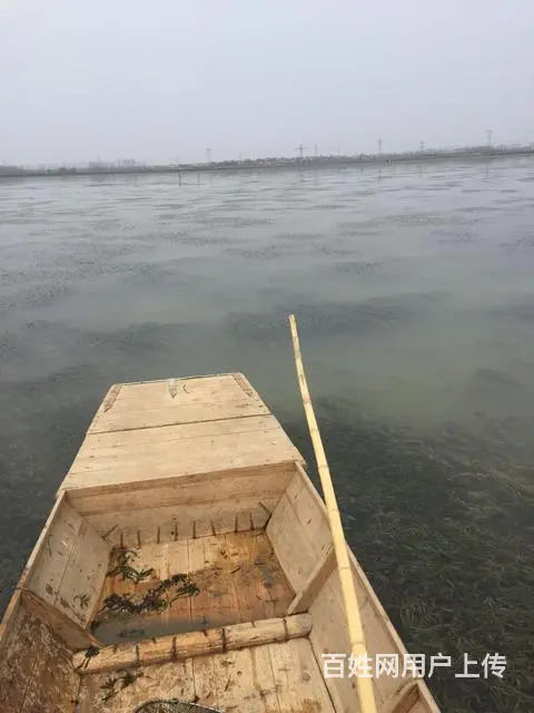 雁达湖养殖基地急聘小龙虾养殖人员包吃住3000+ - 图片 3