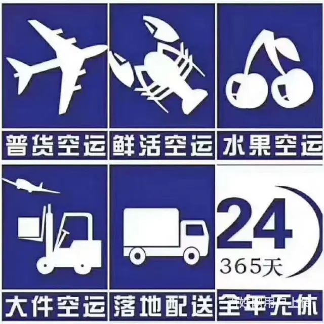 成都欣诚航空快递 全国当日达 - 图片 4