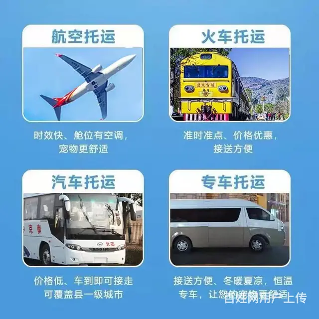 达州达县宠物托运（猫狗）邮寄速运空运 （2023今日 推荐运 - 图片 3