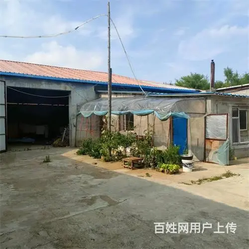 船营区西安路欢喜乡四队厂房出租出售 - 图片 5