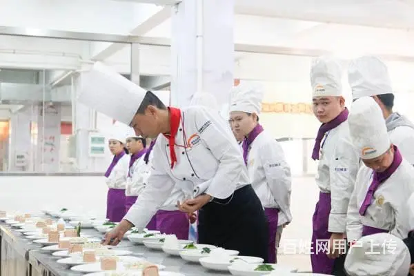 没学历学技术选什么专业好，学厨师行吗 - 图片 4
