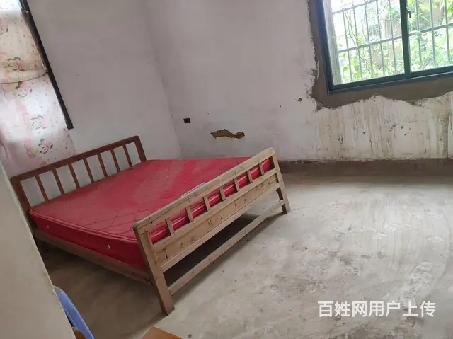 大浦镇汽车站旁边两层整栋房屋出租 - 图片 7