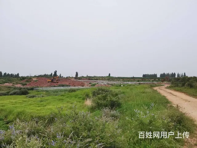 出售一(输送带一电动辊筒一托辊一整套输送线) - 图片 11