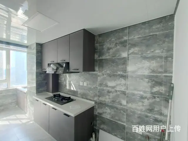 兴隆摩尔电梯住宅，双阳单间，全屋地热，全天阳光！ - 图片 3
