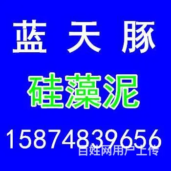 长沙硅藻泥、涂料包工包料 背景墙免费设计 - 图片 1