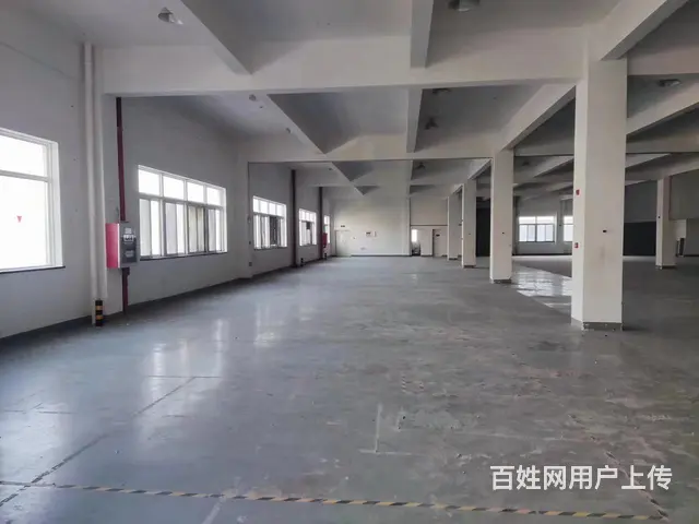 张浦独栋单层厂房800平、可分租、价格实惠 - 图片